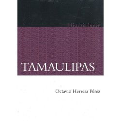 Tamaulipas. Historia breve