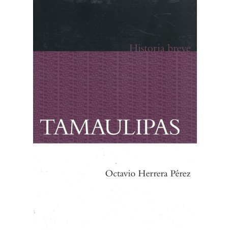 Tamaulipas. Historia breve