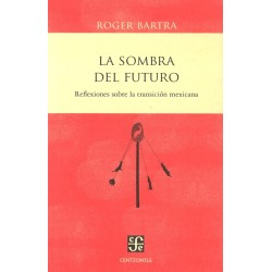 La sombra del futuro: reflexiones sobre la transición mexicana