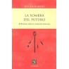 La sombra del futuro: reflexiones sobre la transición mexicana
