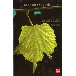 La energía y la vida