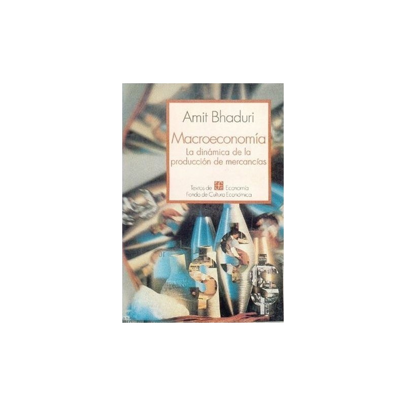 Macroeconomía. La dinámica de la producción de mercancías