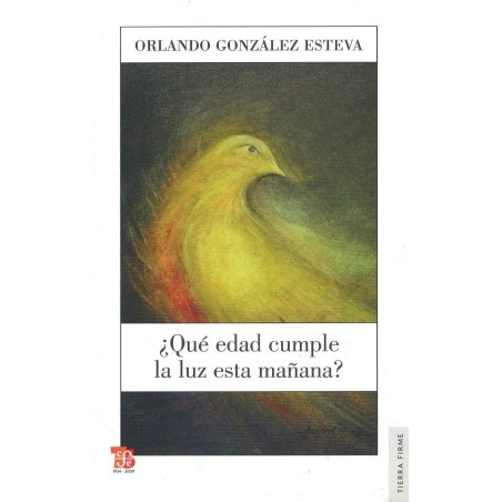 ¿Qué edad cumple la luz esta mañana?