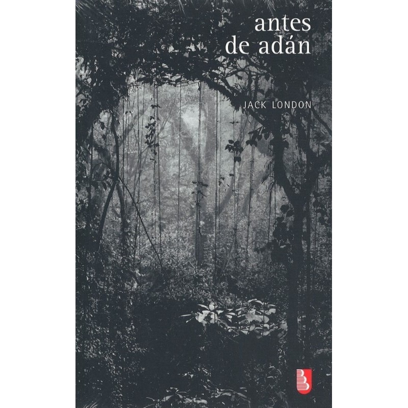 Antes de Adán