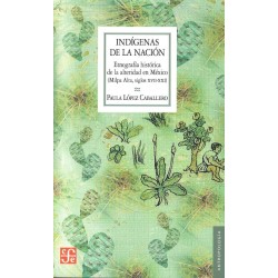 Indígenas de la nación: etnografía histórica de la alteridad en México