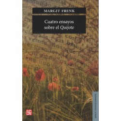 Cuatro ensayos sobre el Quijote
