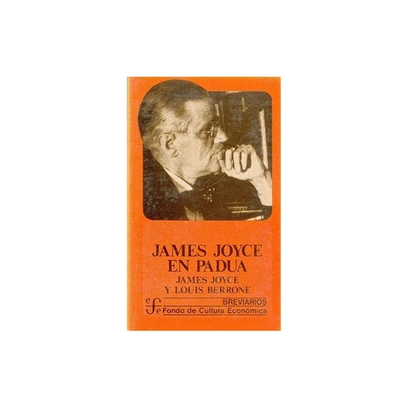 James Joyce en Padua: dos ensayos originales