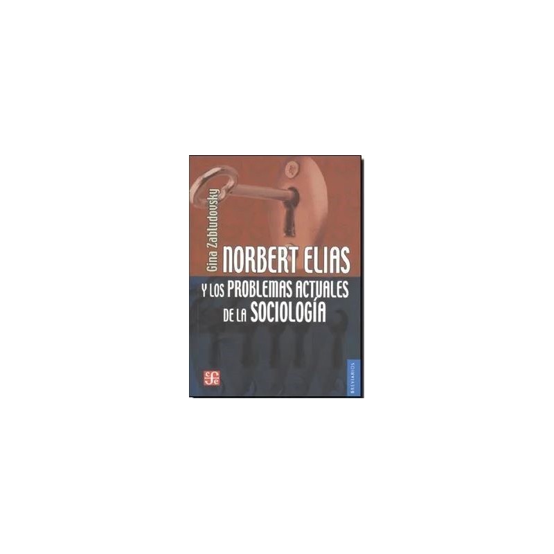 Norbert Elias y los problemas actuales de la sociología