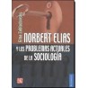 Norbert Elias y los problemas actuales de la sociología