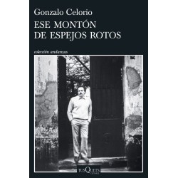 Ese montón de espejos rotos