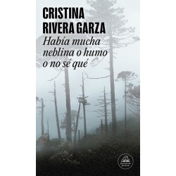 Había mucha neblina o humo o no sé qué