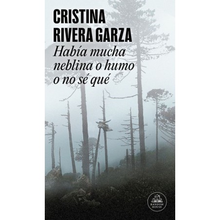 Había mucha neblina o humo o no sé qué