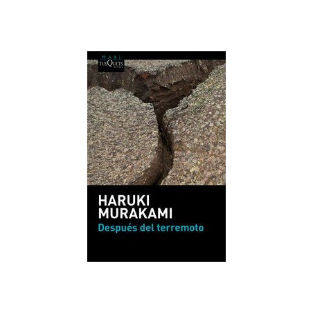 Después del terremoto
