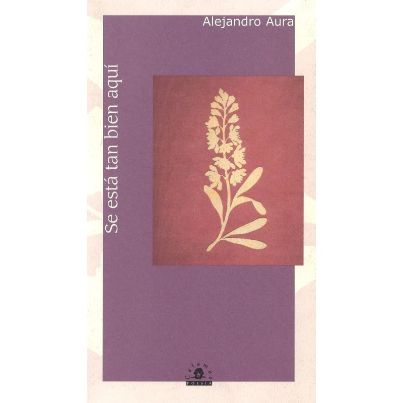 Se está tan bien aquí