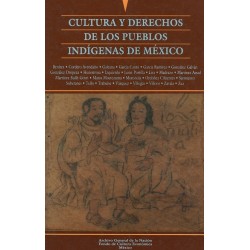 Cultura y derechos de los pueblos indígenas de México.