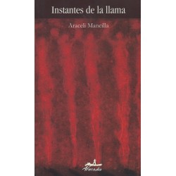 Instantes de la llama