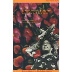 Ciudad, pueblos indígenas y etnicidad