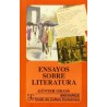 Ensayos sobre literatura