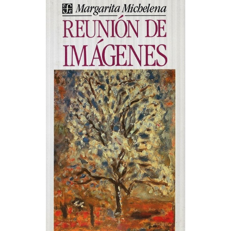 Filosofía política I El derecho: la nueva querella de los ant