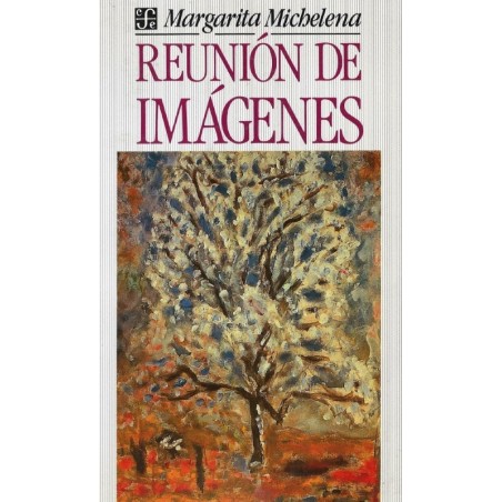 Filosofía política I El derecho: la nueva querella de los ant
