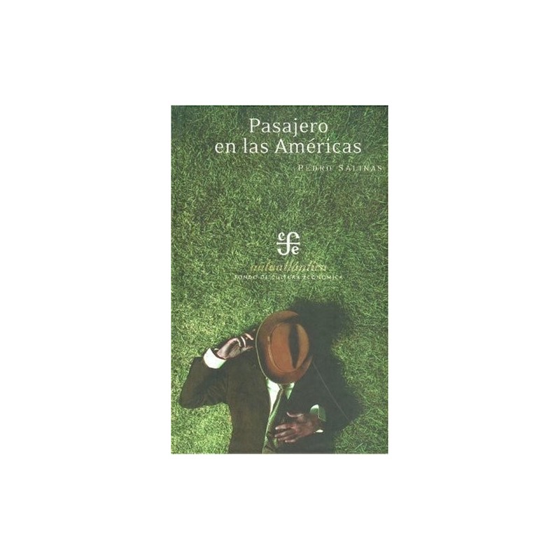 Pasajero en las Américas