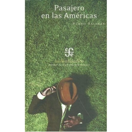 Pasajero en las Américas