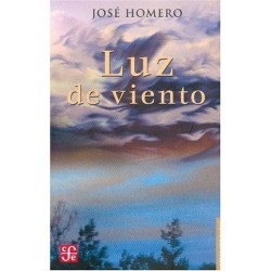 Luz de viento