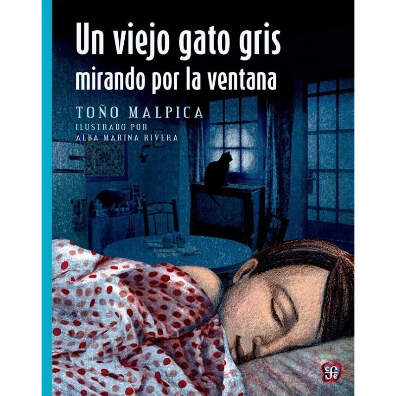 Un viejo gato gris mirando por la ventana