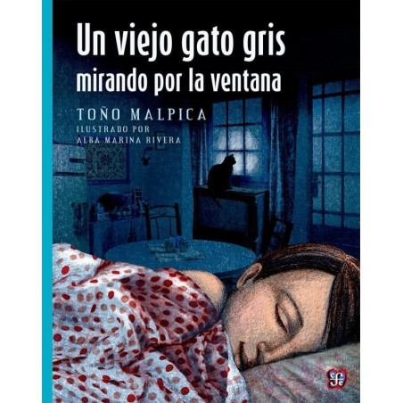 Un viejo gato gris mirando por la ventana