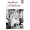 En busca del tiempo perdido, 2. A la sombra de las muchachas en flor